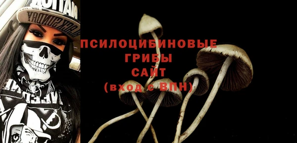 спайс Алзамай