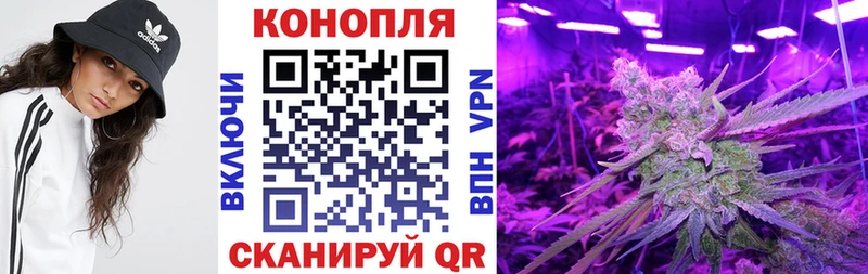 МЕГА   Мураши  Конопля Amnesia  как найти  